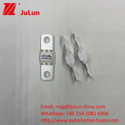 ASTM A121601-80A 자동차 마이크로 블레이드 피우스 80 Amp