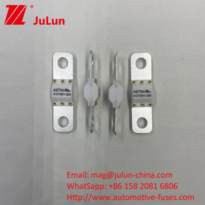 A121601-100A 3KA 6KA 8KA 전기 차량 충전 자동차 피지