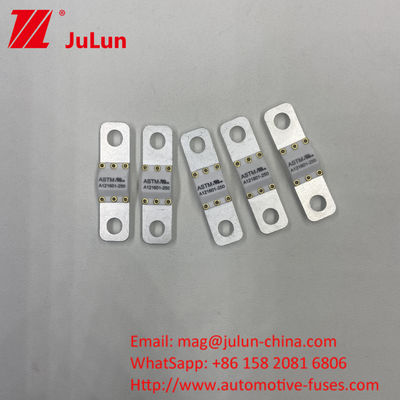 125 VDC 자동차 배터리 충전기 피지 A121601-300A 배터리 에너지 저장 모터사이클