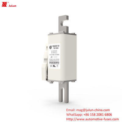 160A-550A 설계 에너지 저장 산업 응용 프로그램에서 볼트와 함께 부분 범위 보호 피지
