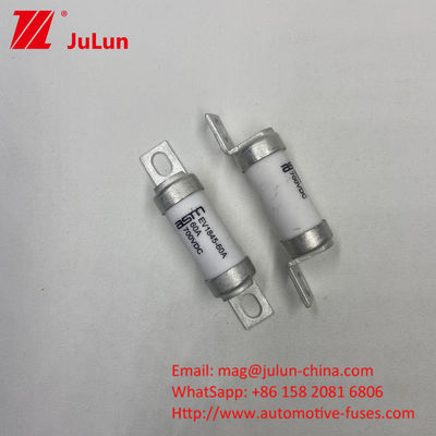 35A 700VDC EV1845 전동차용 안전 장치 볼트 안전 장치 단말기 나사 M8 M6