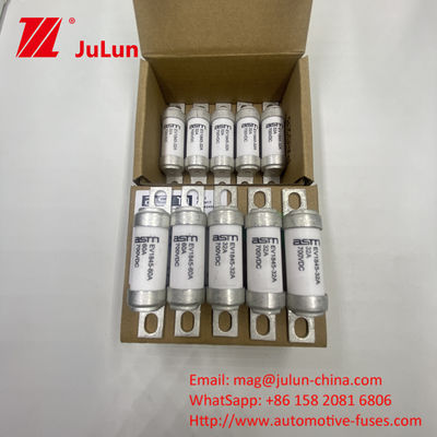 35A 5-150A 700VDC 10KA 전기 차량 볼트 피지 동전 피지