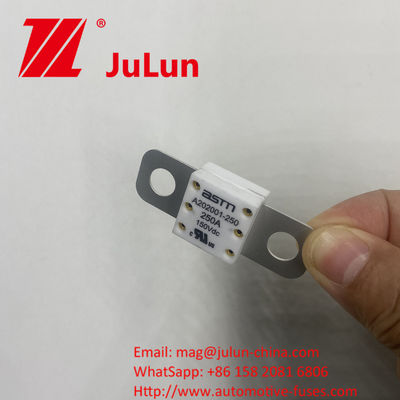 250A 150VDC A202001 자동차 충전기 및 기타에 대한 ASTM 세라믹 자동차 안전 장치