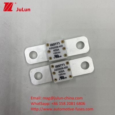 125VDC A202008 125VDC 200A 전압 휴대용 EV 충전기 퓨즈 전기 차량의 최종 충전 솔루션