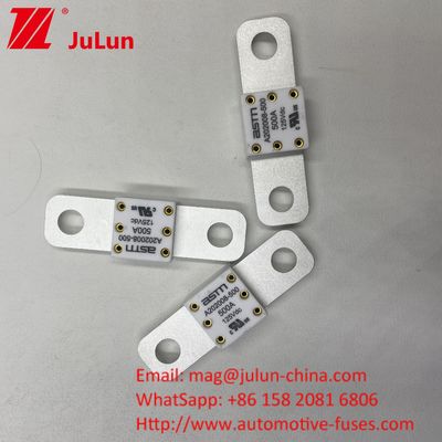 125VDC 200A ANM AMM AEGA ANL CNN CNL 자동차 배터리 안전 장치 자동차용