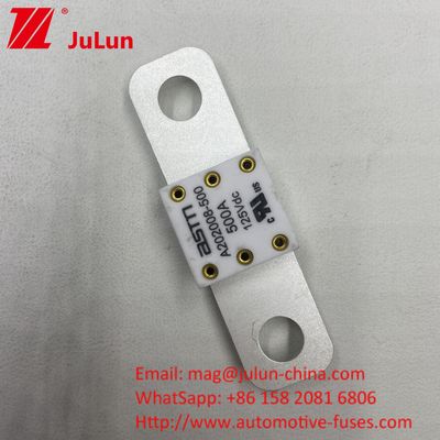 300A 125VDC ASTM M8 볼트 자동차 배터리 피우터 내구성 가중 용량 애플리케이션에 오래 지속