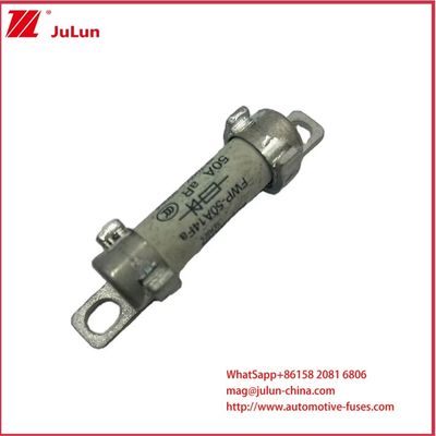 FWP-50A14F BUAAMANN 튜블 세라믹 오토 퓨즈 원본 700VDC 500VDC