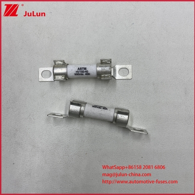 ASTM 15A 30A DC500V 전류 전기 차량 피지 보호