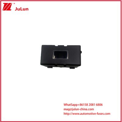 전기 차량 피지 홀더 피지, 덮개 피지 안스 ANL ANM 구리 터미널